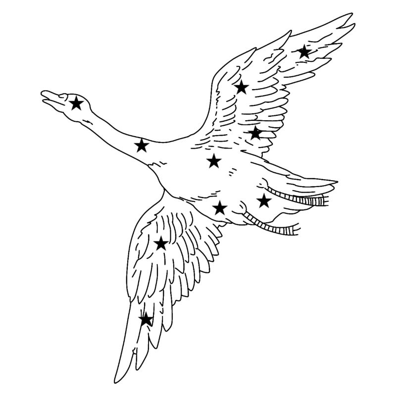 Constellation