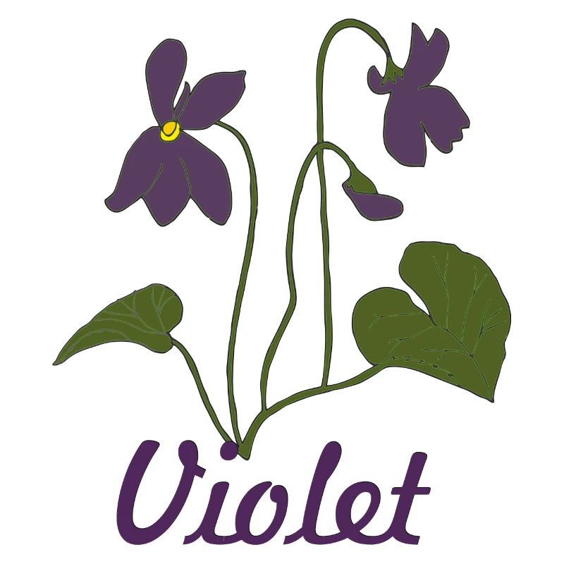 veilchen violet