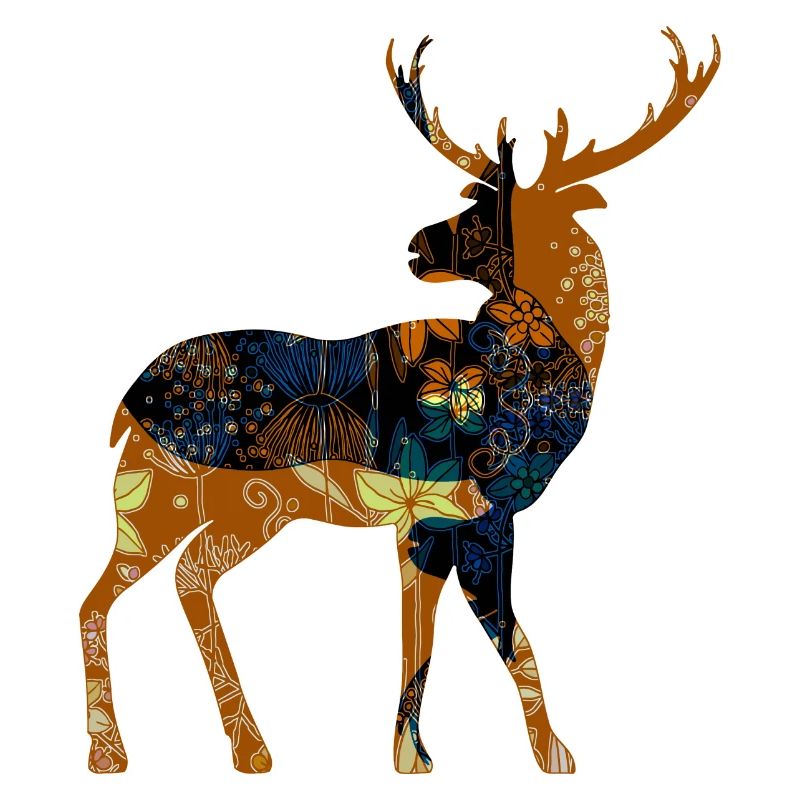 Deer