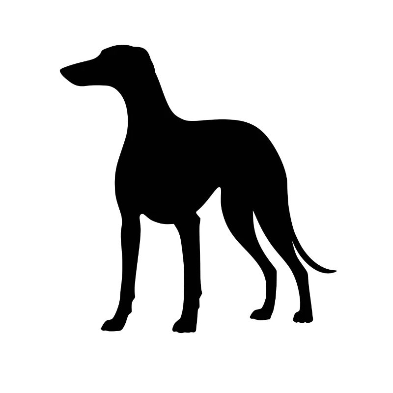 Windhund Silhouette