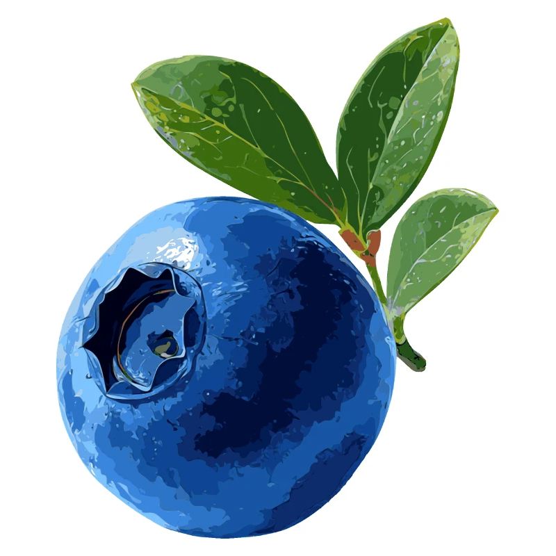 Blaubeere