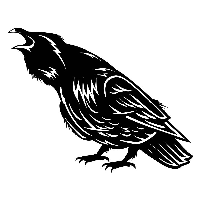 Krähe Vogel Crow