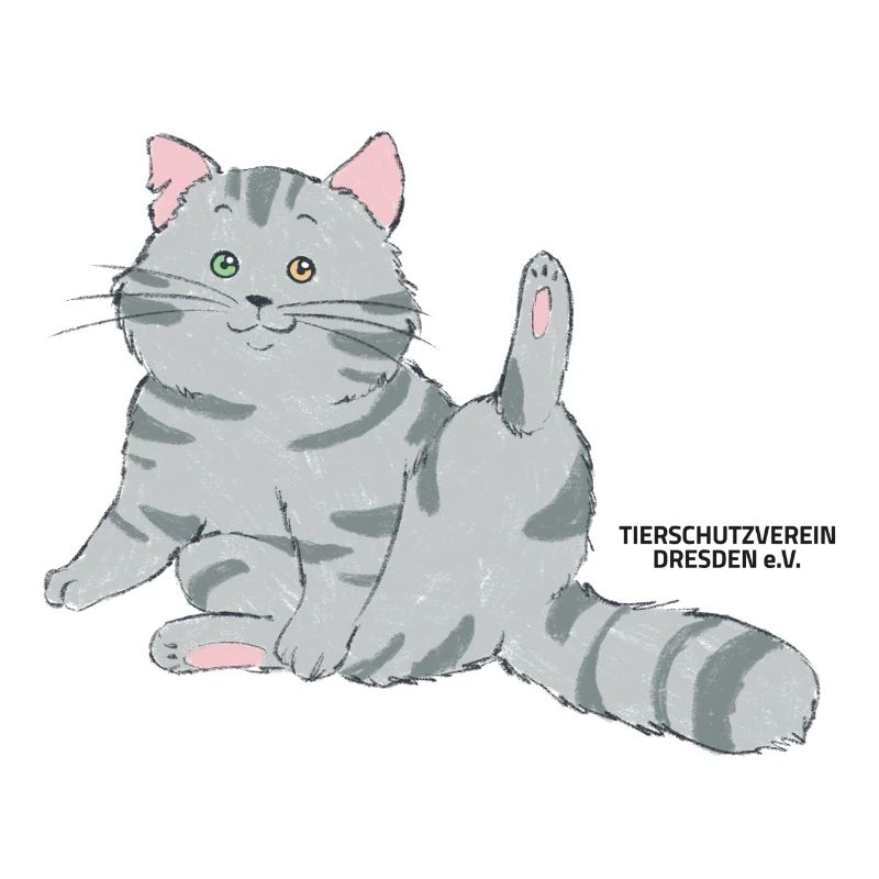 🐾 Grau getigerte Katze🐱