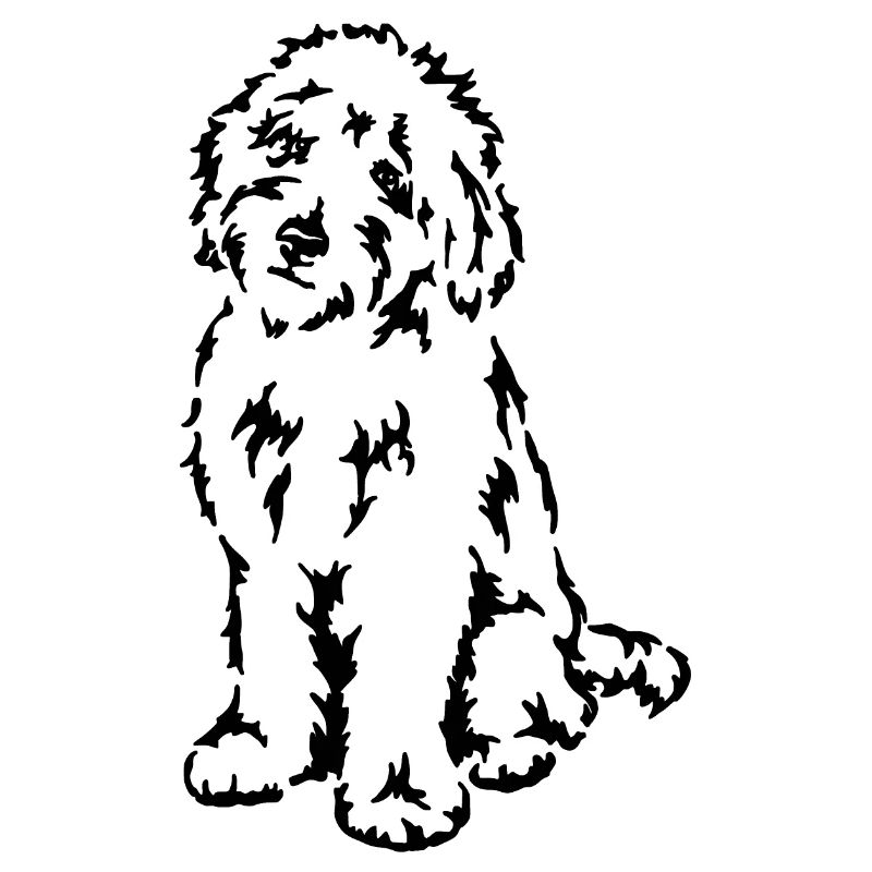 Goldendoodle