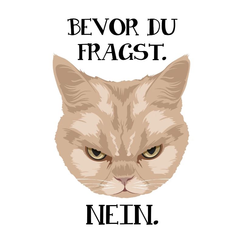 Grumpy Cat - Bevor du fragst_Nein - P