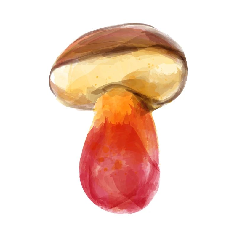 Champignon de feu Champignon