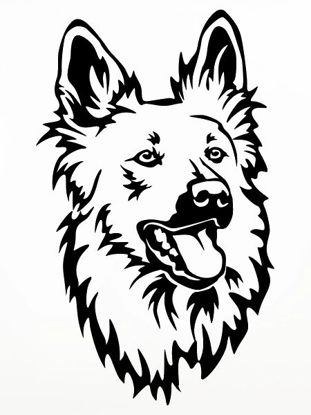 Harzer Fuchs Kopf