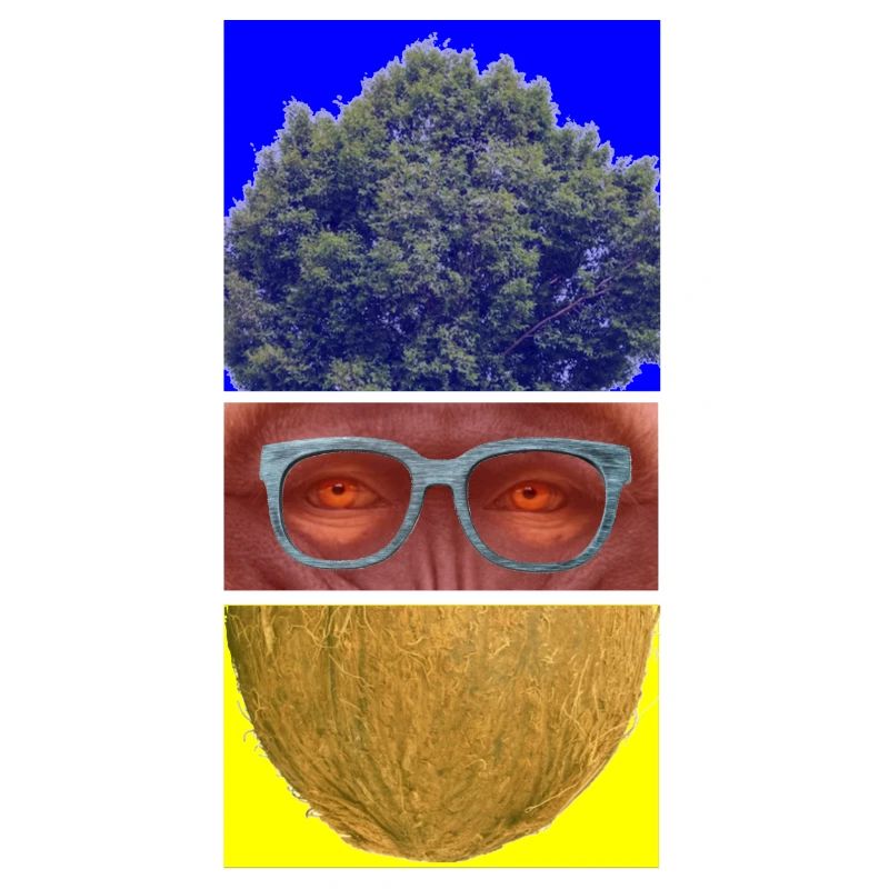Triptyque coloré: arbre, visage et noix