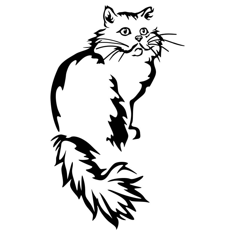 Persan - Chat persan