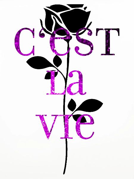 C'est La Vie mood vibe