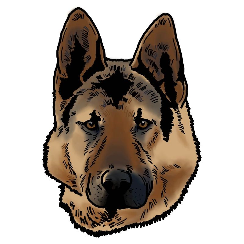 Deutscher Schäferhund