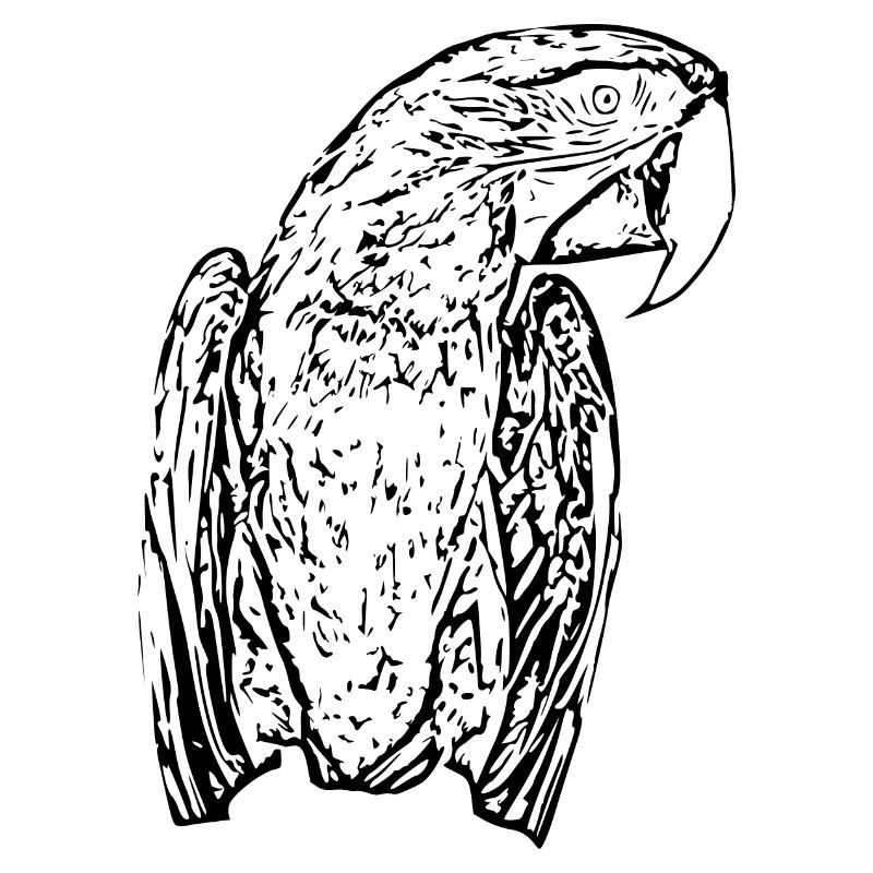 Parrots