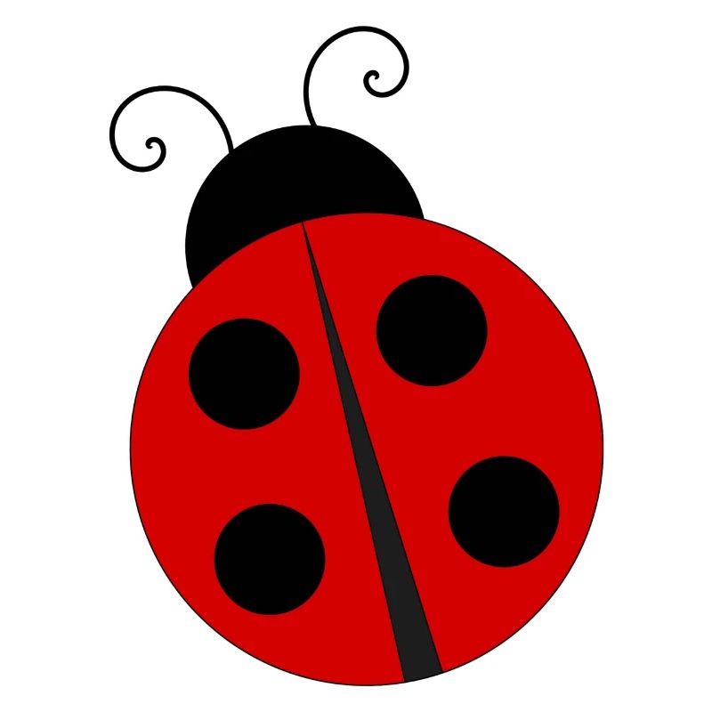 Ladybug with four black dots