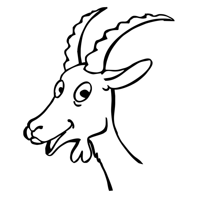 Ziegen Kitz
