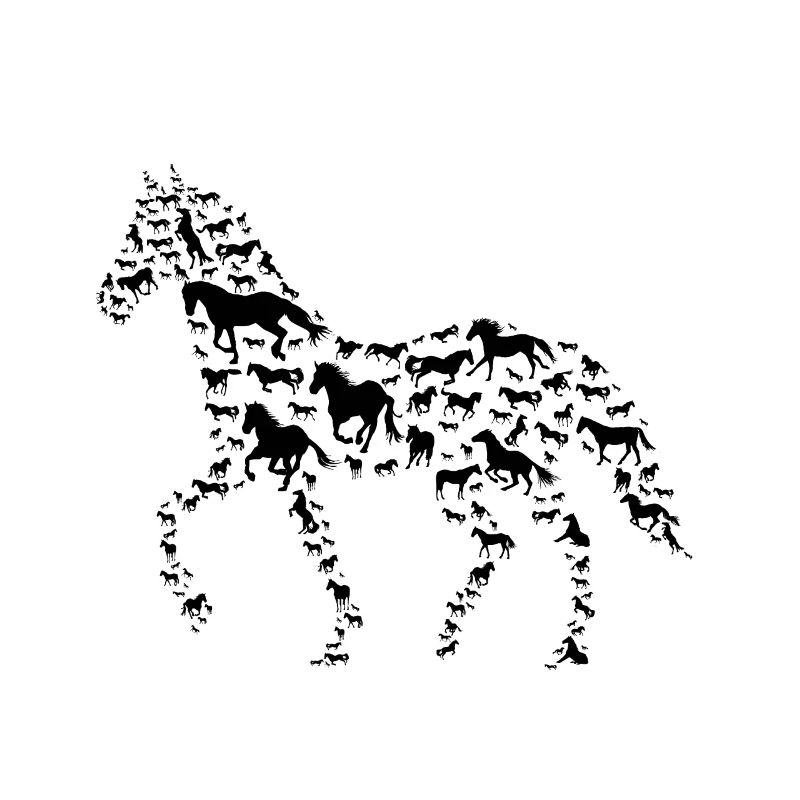Pferde Pferde Reiten