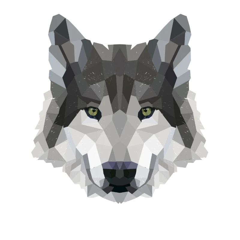 POLYGONE LOUPS LOUPS HUSKY PACK PACK CHIEN PACK PACK