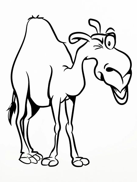 Kamel