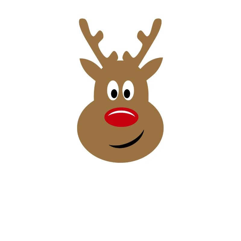 Mon premier noel