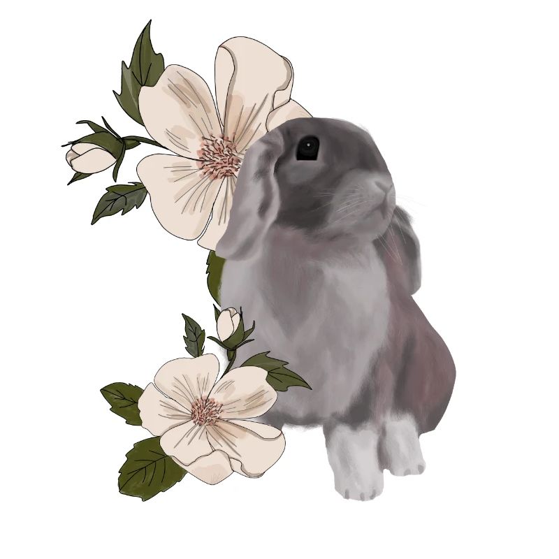 Lapin et fleur