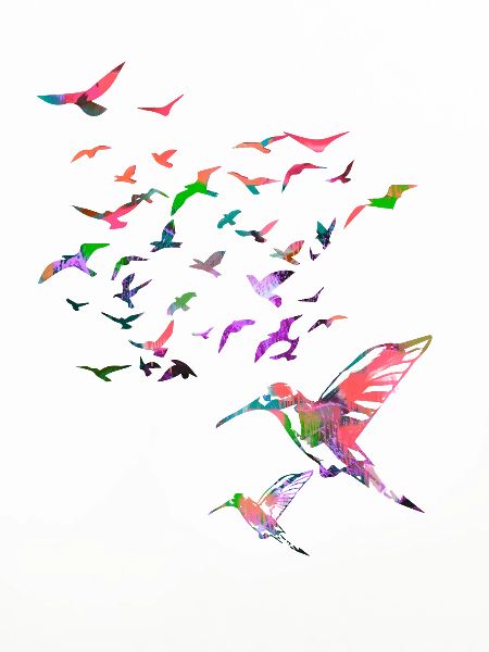 vögel,kolibri, schwarm,graffiti,illustration,vogel