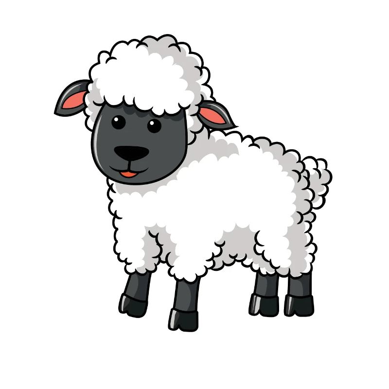 Sheep Sheep Shepherd Sheep farmer