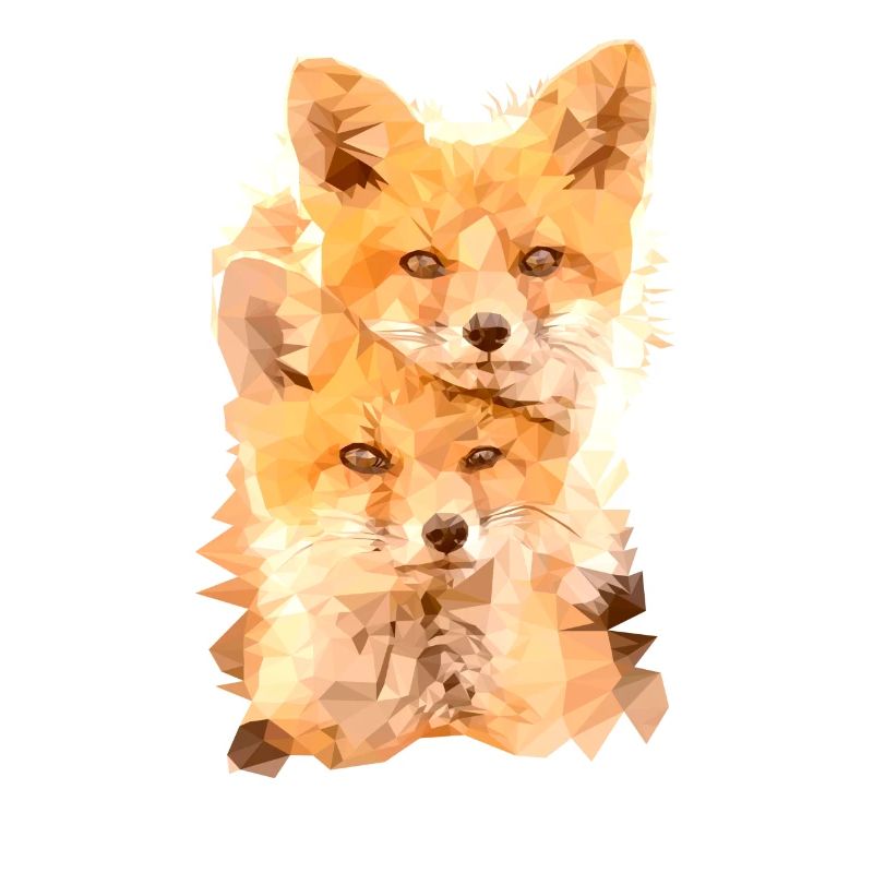 Fuchs Polygon Art
