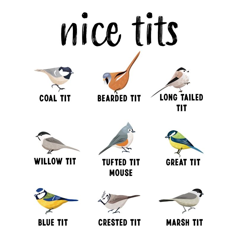Nice Tits Tufted Titmouse Bird regarder Gift Funny