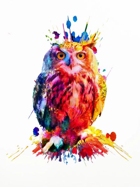 Bunte Eule, Aquarell