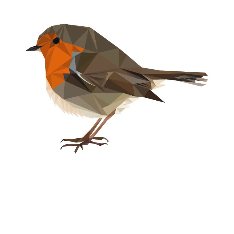 Rouge-gorge de style polygone - oiseau indigène