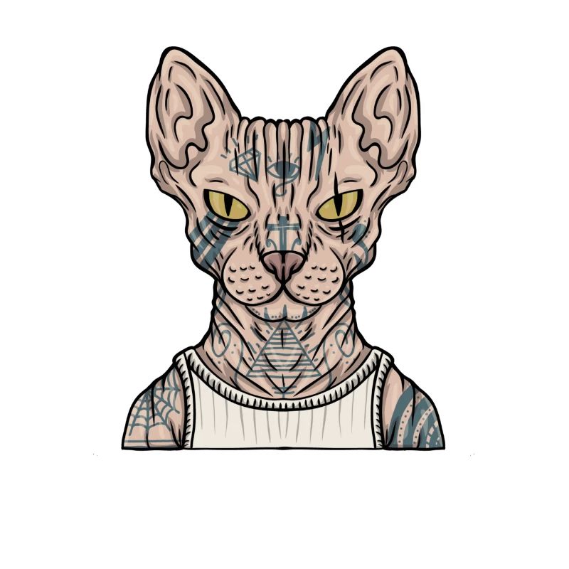 Tatouage mignon de chat gla poilu de sphynx de chat