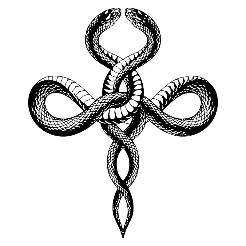 Schlangen