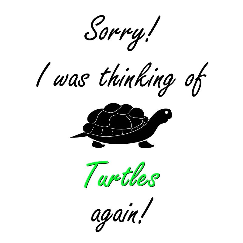 Turtle Turtle