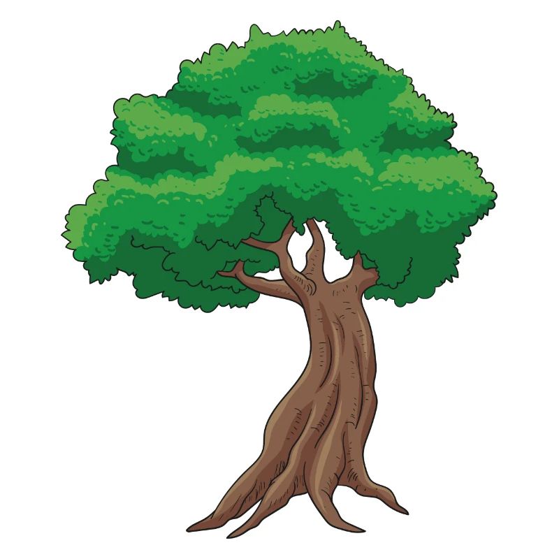 Bonsai Baum