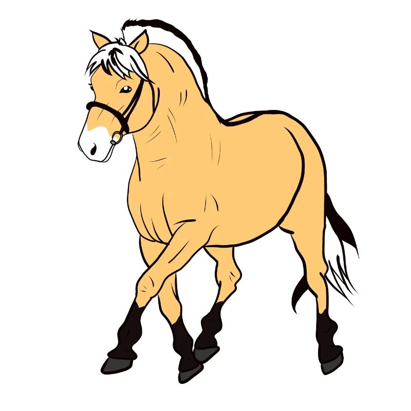Fjordpferd Pony
