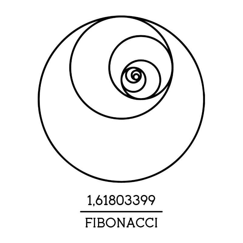 Fibonacci Spiral Follow Math Teacher Numbers