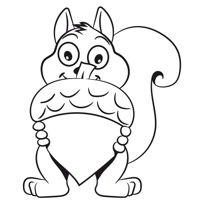Squirrel nuts nut
