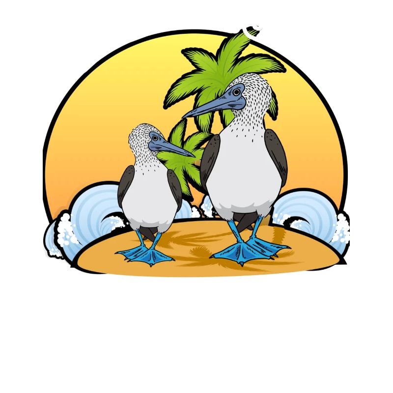 Seevögel Boobies