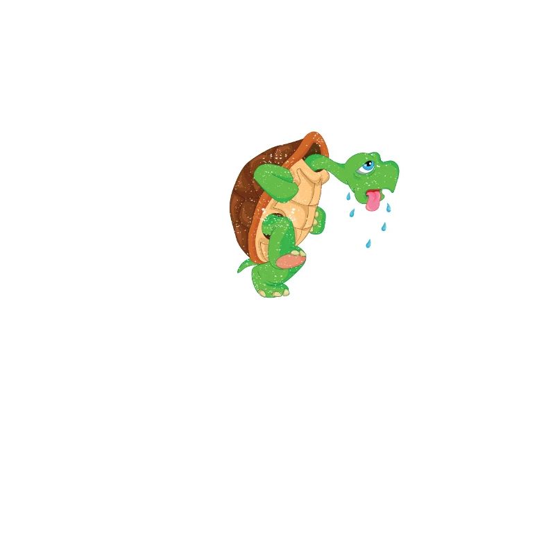 I'm a Slow Runner Turtle Funny