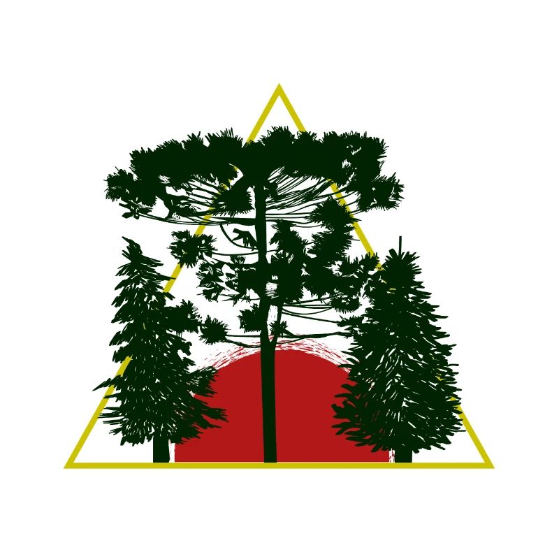 Baum