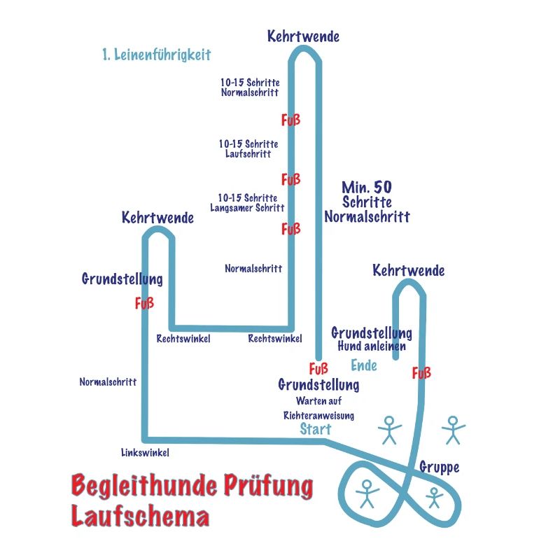 Begleit Hunde Laufschema