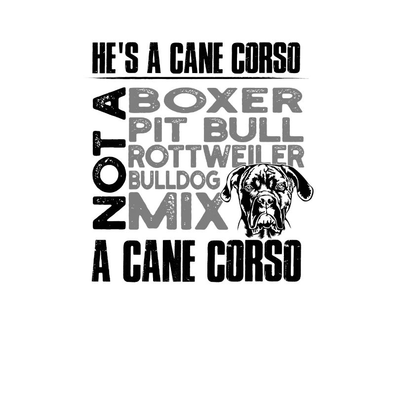 He's a cane corso Not a boxer Pit bull Rottweiler