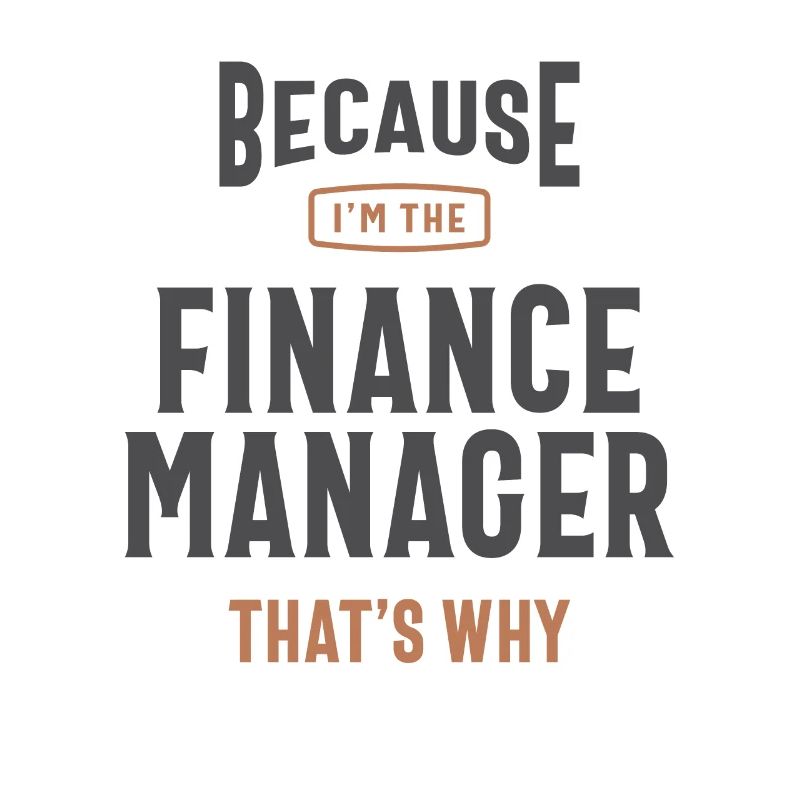 Beruf des Finanzmanagers