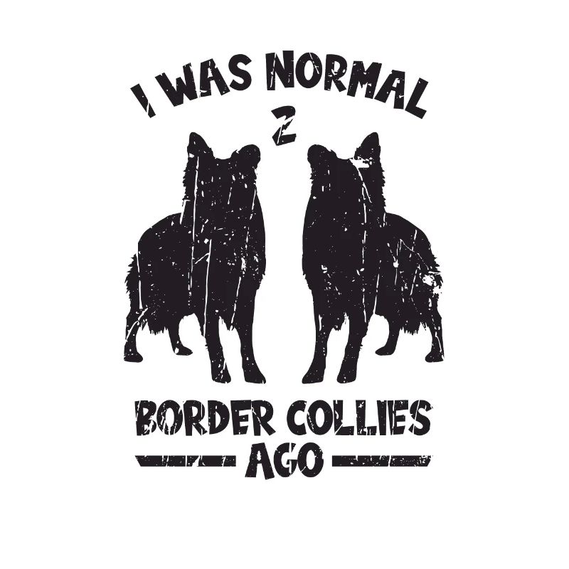 Ich war normal 2 Border Collies vor - Hund