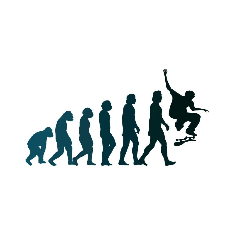 Skateboarder Skateboard Evolution