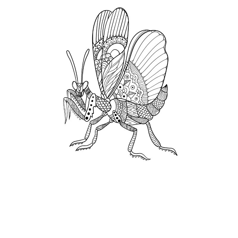 Praying Mantis I Mantis Insect Motif