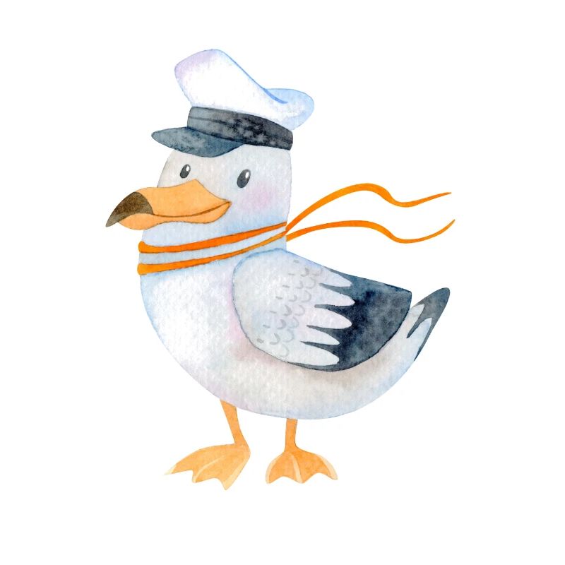 Möwe