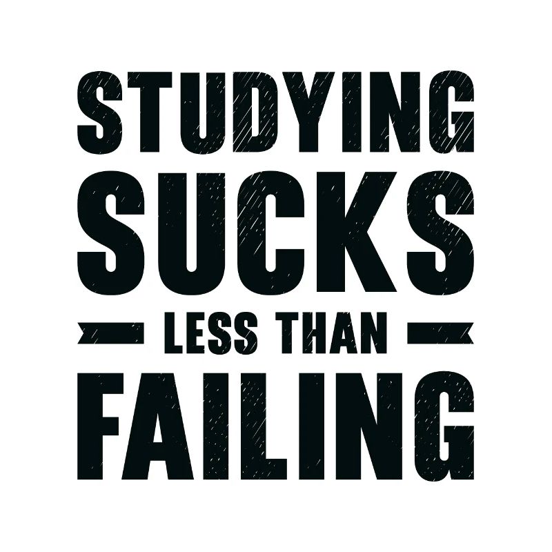 Studying Student Learning Education Lessons Study