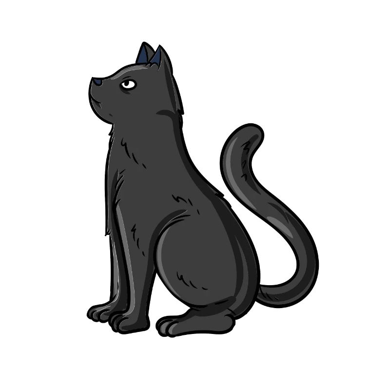 Schwarze Katze