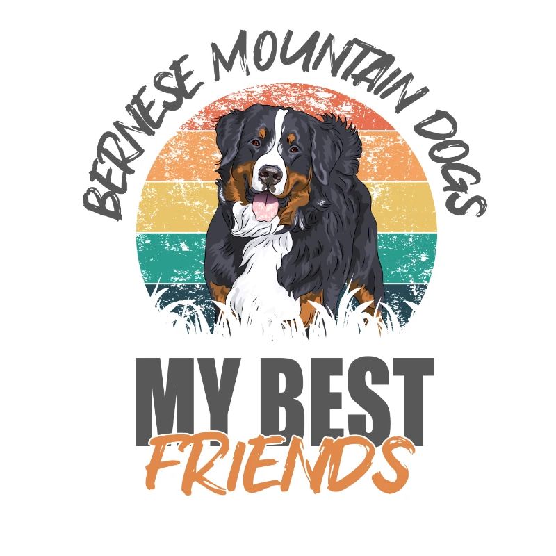 Berner Sennenhund