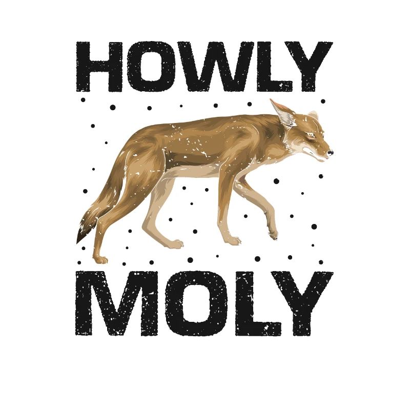 Conception de coyote pour les réacteurs de coyote